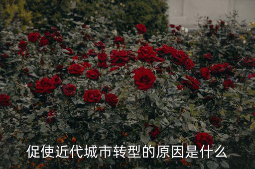 為什么城鎮(zhèn)化要轉(zhuǎn)型，促使近代城市轉(zhuǎn)型的原因是什么