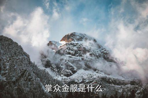 掌金互聯(lián)是干什么的，掌眾金服是什么