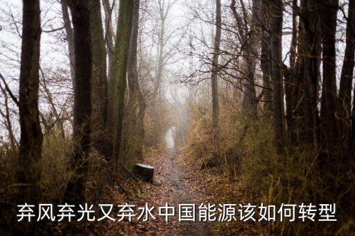 什么是能源轉(zhuǎn)型，棄風(fēng)棄光又棄水中國能源該如何轉(zhuǎn)型