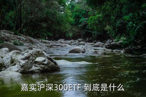 深證etf是什么，ETF 是什么意思