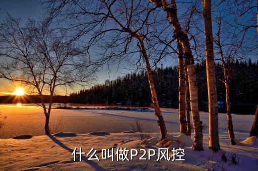 什么是風(fēng)控機制，白條風(fēng)控是什么意思