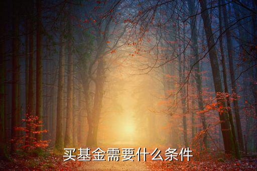 買(mǎi)基金有什么條件，買(mǎi)基金都需要什么條件啊