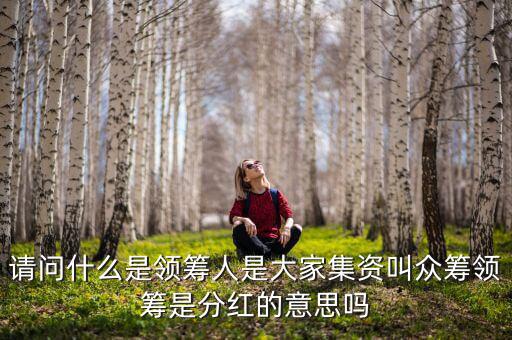 什么是領(lǐng)投人，請問什么是領(lǐng)籌人是大家集資叫眾籌領(lǐng)籌是分紅的意思嗎