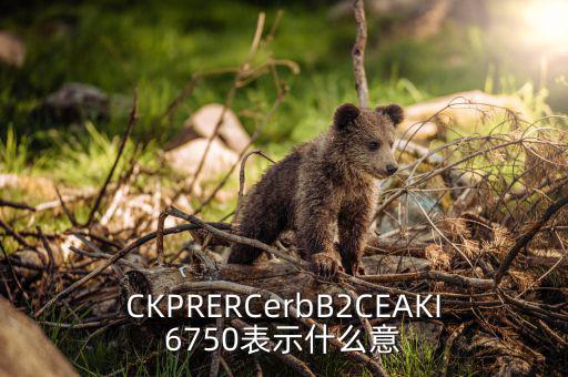 分類調(diào)控是什么意思，CKPRERCerbB2CEAKI6750表示什么意