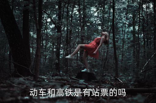 為什么高鐵沒(méi)有站票，為什么高鐵沒(méi)有站票