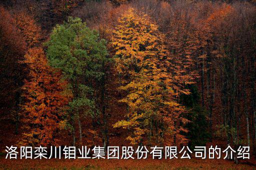 洛陽欒川鉬業(yè)集團股份有限公司的介紹