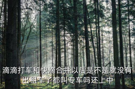 滴滴快滴合并叫什么，滴滴快的合并后叫什么