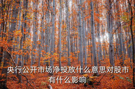 什么是央行凈投放，央行凈投放是甚么意思