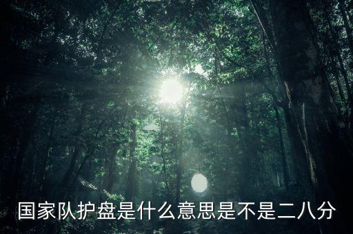 國家隊護(hù)盤是什么意思是不是二八分