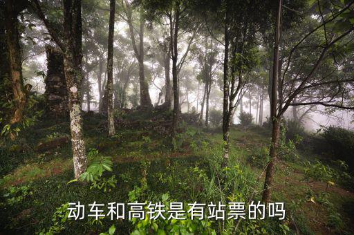 動(dòng)車(chē)和高鐵是有站票的嗎