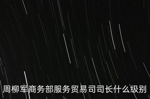 周柳軍商務部服務貿(mào)易司司長什么級別