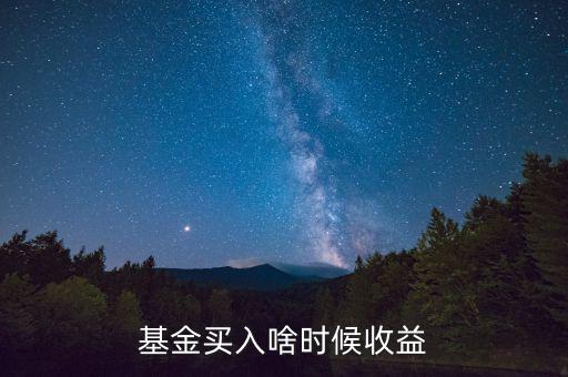 基金買入啥時(shí)候收益