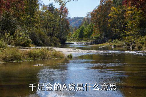 黃金滬幣a是代表什么，千足金的A貨是什么意思