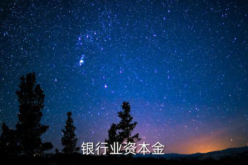 銀行資本金是什么，銀行業(yè)資本金