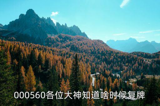 皖通科技什么時(shí)候復(fù)牌，600565什么時(shí)候復(fù)牌開市