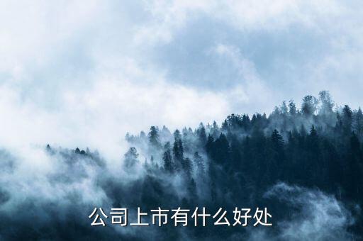 股份公司獲準(zhǔn)上市的優(yōu)勢(shì)是什么，公司上市有哪些優(yōu)勢(shì)對(duì)于上市公司又有哪些要求