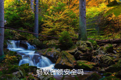 螞蟻白領(lǐng)是什么，螞蟻白領(lǐng)安全嗎