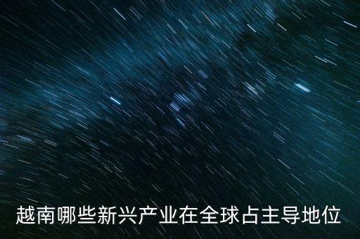 越南哪些新興產(chǎn)業(yè)在全球占主導(dǎo)地位