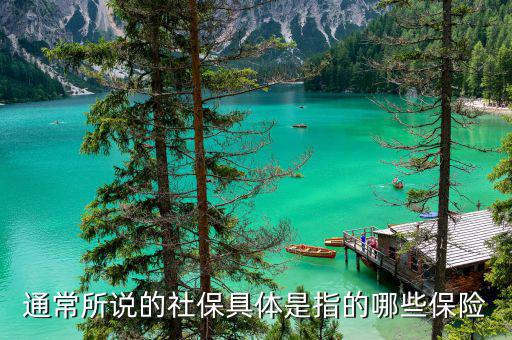 社保包括什么保險，社保具體是指的哪些保險