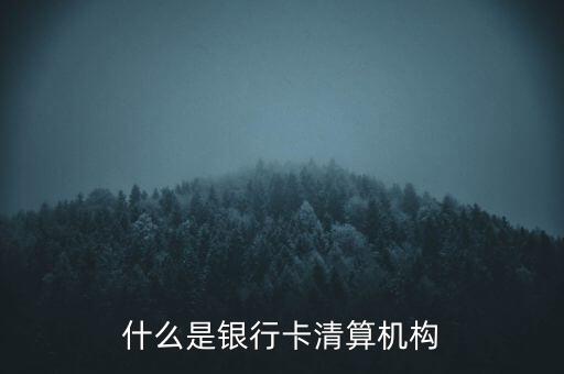 同一卡組織清算機(jī)構(gòu)指什么，銀行卡清算機(jī)構(gòu)銀行支付機(jī)構(gòu)到底有什么區(qū)