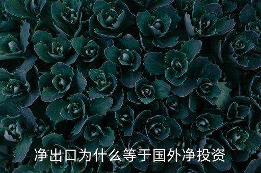 國(guó)外凈投資是什么，凈出口為什么等于國(guó)外凈投資