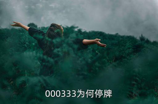000333為什么停盤，000333為何停牌
