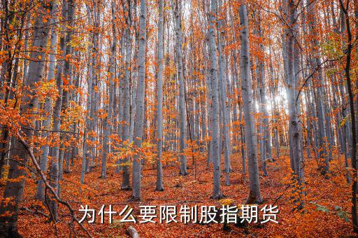 為什么不暫停股指期貨，為什么要限制股指期貨