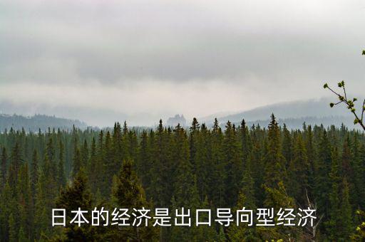 日本是什么型經(jīng)濟(jì)，日本的經(jīng)濟(jì)模式是