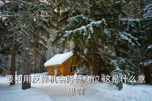 要利用反彈機(jī)會降低倉位 這是什么意思啊