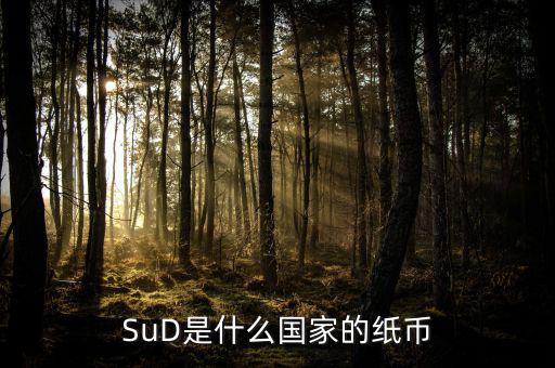 sud是什么貨幣，SUD是什么貨幣單位
