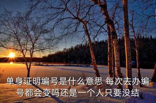 單身證明編號是什么意思 每次去辦編號都會變嗎還是一個人只要沒結(jié)