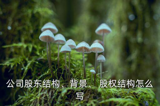 公司股東結(jié)構(gòu)、背景、 股權(quán)結(jié)構(gòu)怎么寫(xiě)