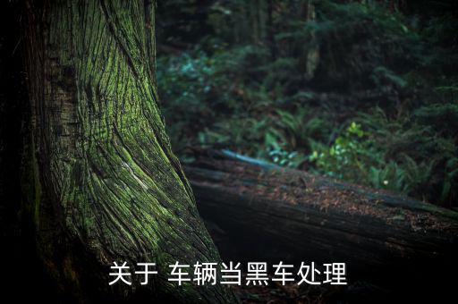 黑車(chē)輛怎么辦證,所謂黑車(chē)是指未取得營(yíng)運(yùn)牌照非法營(yíng)運(yùn)車(chē)輛