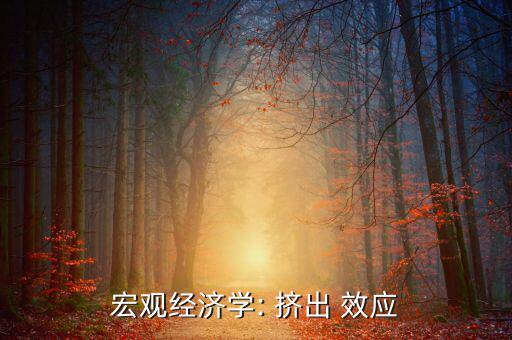 擠出效應(yīng)怎么求,價格上漲與消費(fèi)行為有何差別?