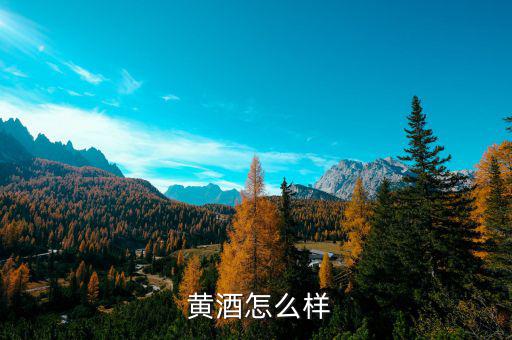 白塔黃酒怎么樣,陳黃灑、黃精統(tǒng)稱為什么?