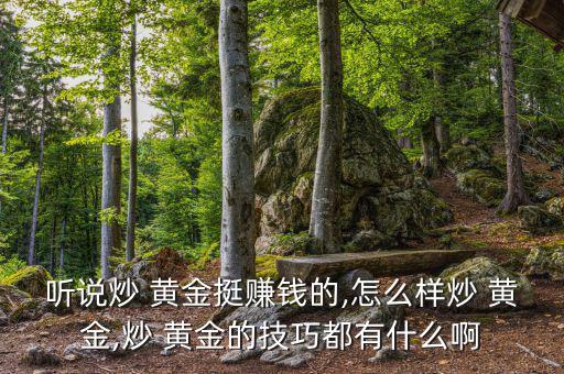 聽說(shuō)炒 黃金挺賺錢的,怎么樣炒 黃金,炒 黃金的技巧都有什么啊