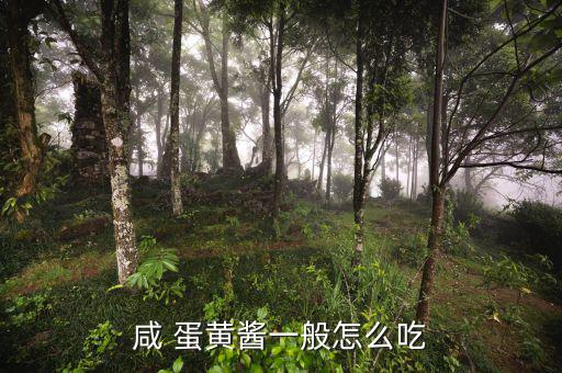 人造蛋黃醬怎么吃,蛋黃醬可用于面包沙拉、壽司等