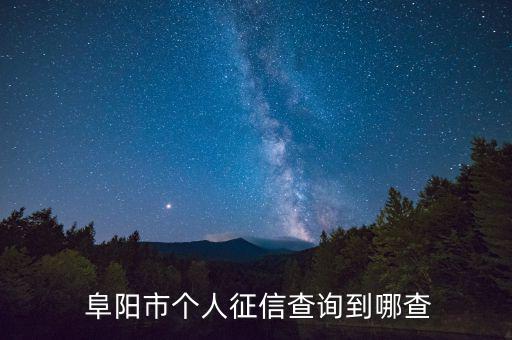  阜陽(yáng)市個(gè)人征信查詢到哪查