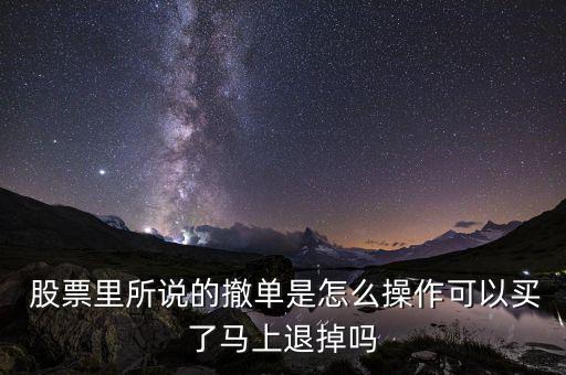  股票里所說(shuō)的撤單是怎么操作可以買(mǎi)了馬上退掉嗎