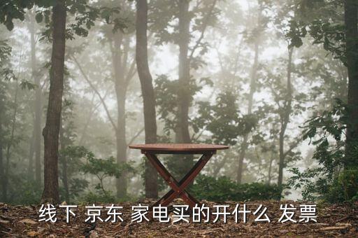 線(xiàn)下 京東 家電買(mǎi)的開(kāi)什么 發(fā)票