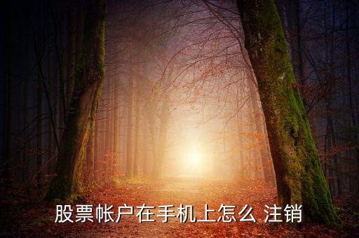 怎么注銷同花順手機(jī)號,怎么綁定同花順賬號?可以這樣做!
