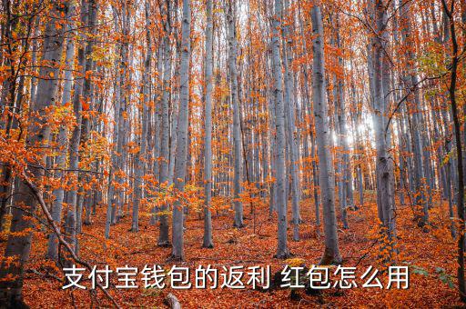  支付寶錢包的返利 紅包怎么用
