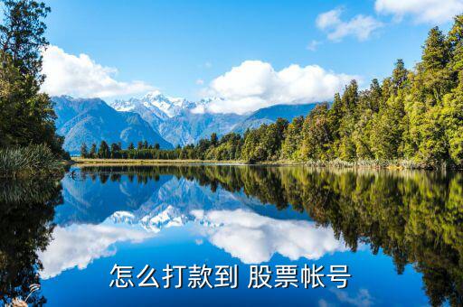 怎么打款到 股票帳號