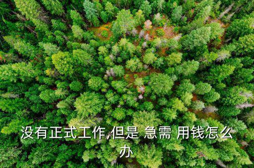 沒(méi)有正式工作,但是 急需 用錢(qián)怎么辦