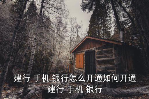 建行來(lái)手機(jī)銀行怎么開,企業(yè)手機(jī)銀行app開通流程出爐