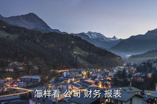 公司財(cái)務(wù)報表怎么查,財(cái)務(wù)報表四大表明:點(diǎn)擊查詢年份-1報表