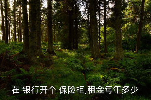 怎么在銀行開保險柜,保管箱新常態(tài)