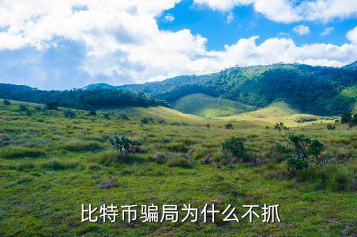 比特幣怎么洗黑錢(qián),比特幣完全缺乏流通屬性是根本缺陷