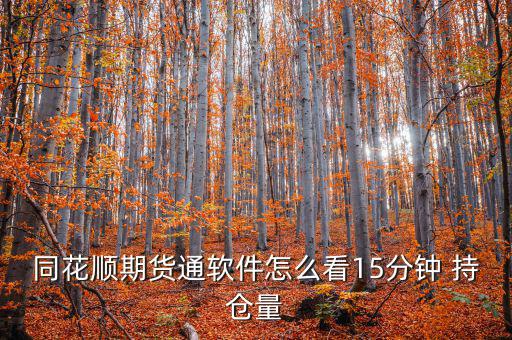 同花順期貨通軟件怎么看15分鐘 持倉量
