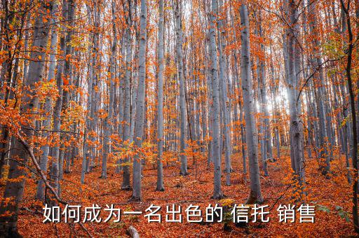 如何成為一名出色的 信托 銷(xiāo)售
